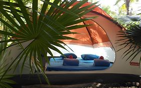 Turquesa Tulum Jungle Camping